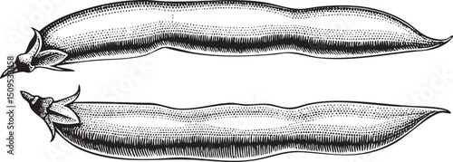 Two elongated vegetable pods rest on a white surface.