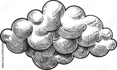 detailed textured cloud dominates the .