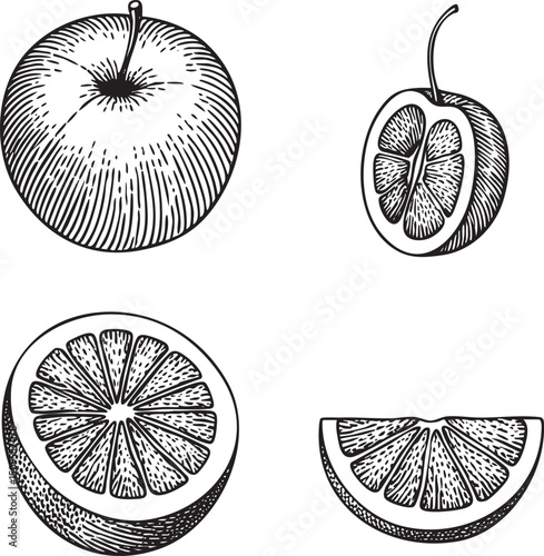 Two halved fruits – an and a citrus fruit – are shown in detailed black and white .