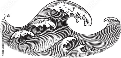stylized wave gracefully curves across a white background.