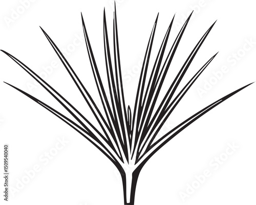 singular sharp-edged plant stem extends upwards in a radial .