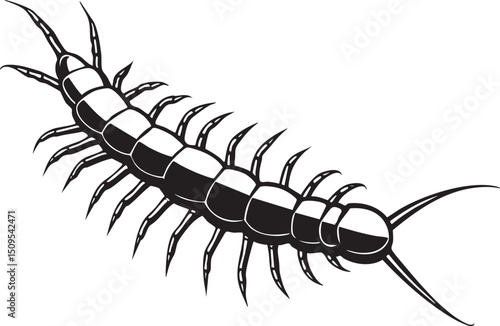 segmented millipede crawls across a white surface.