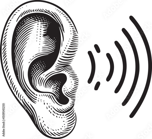 detailed black and white of an ear emitting sound waves.