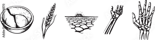Five symbolic elements representing harvest growth and human connection.