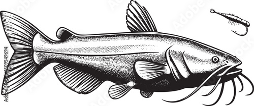 striped catfish eagerly opens its mouth to consume a small hook and bait.