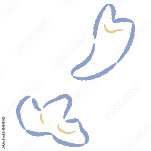 犬の歯のイメージイラスト