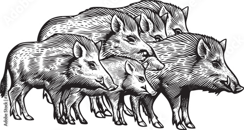 group of wild boars huddle together in a tight formation.