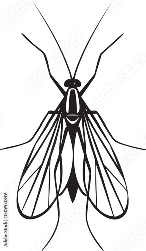stylized black fly rests on a white background.