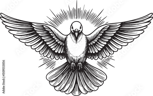 stylized white soars upwards surrounded by radiant light.