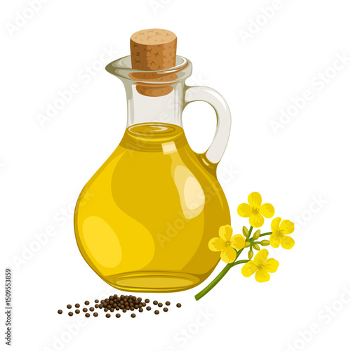 Illustration of Rapeseed oil in a glass bottle, with Rapeseed flowers and seeds, scientific name Brassica napus, isolated on white background.bottle of olive oil