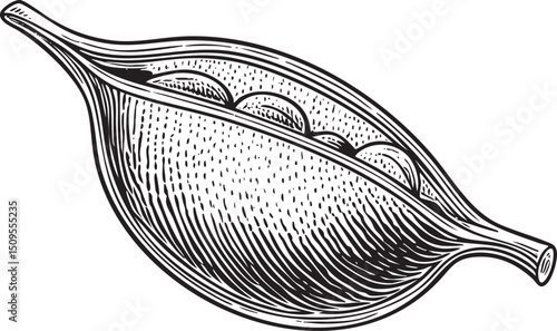stylized of a hollowed-out gourd containing several small rounded fruits.