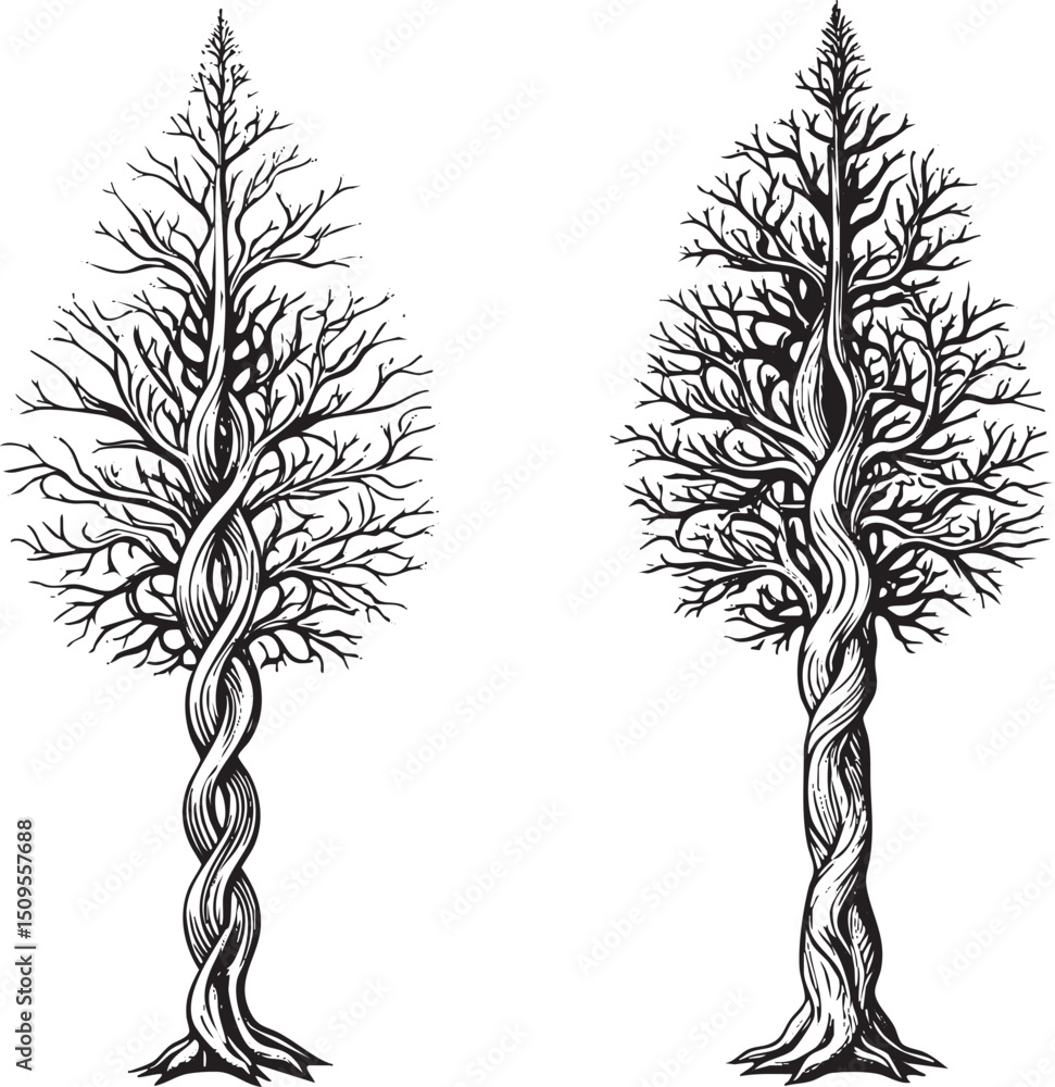Obraz premium Two stylized trees display a spiraling intertwined trunk .
