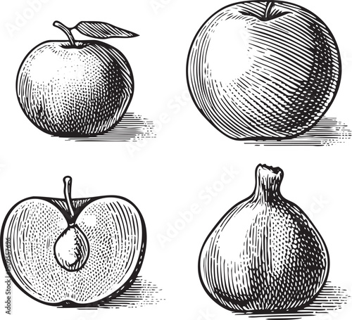 Four black and white illustrations depict whole and halved apples.