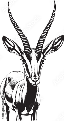 gazelle intently gazes forward with prominent horns.