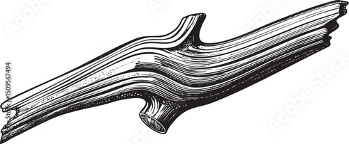 stylized dark wood branch gracefully curves upward.