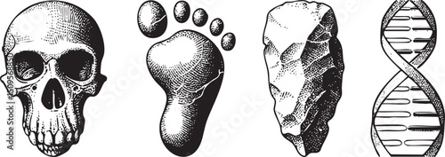 skull footprint stone and DNA strand are presented in a linear arrangement.