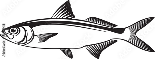 sleek gray fish swims gracefully through clear water.