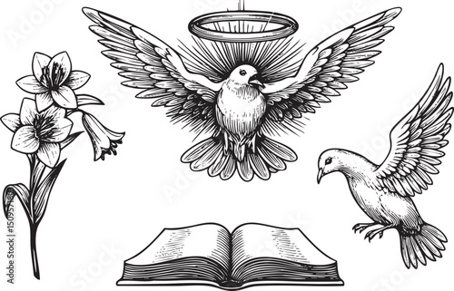 white with a flies above an open book and a blooming flower.