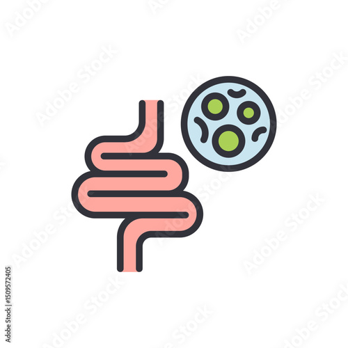 Depiction Of Human Intestine With Microorganism On A Transparent Surface