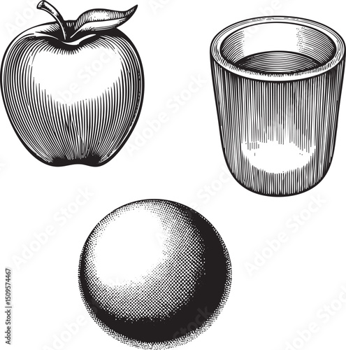 black and white engraving depicts a glossy  a clear glass cup and a spherical fruit.