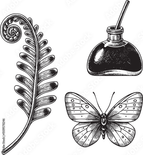detailed black and white features a fern frond an inkwell and a butterfly.