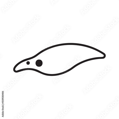 sleek elongated silhouette curves gracefully across a white background.