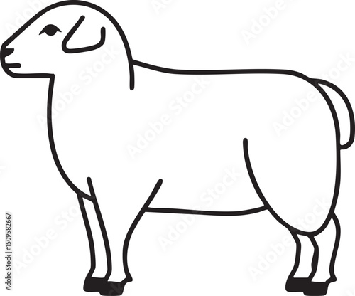 solitary sheep stands calmly in a plain.