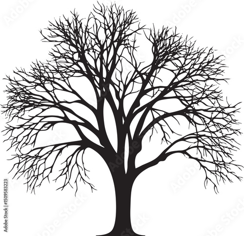 stark silhouette of a leafless tree stands against a clear sky.