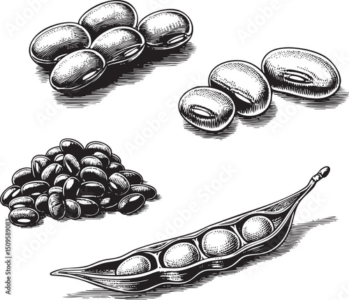 collection of black soybeans rests on a white surface.