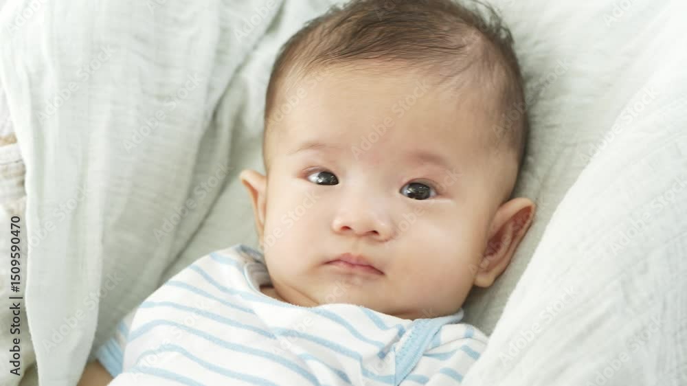 Asian curious 3-month-old baby infant with dark hair looks upwards, nestled comfortably in a red and black stroller indoors, wrapped in a light blanket. Asian curious 3-month-old baby infant with dark hair looks upwards, nestled comfortably in a red and black stroller indoors, wrapped in a light blanket.