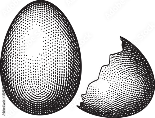 large egg rests beside a cracked  revealing its inner surface.