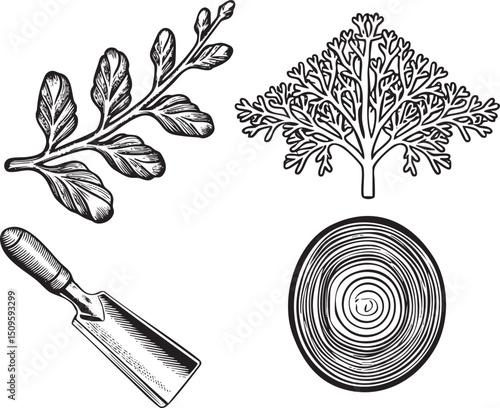 detailed black and white showcases a leaf a tree branch and a wood chisel.