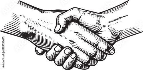 Two hands firmly shake in a business agreement.