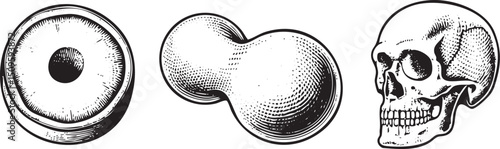 monochrome depicts a circular object a spherical form and a skull.