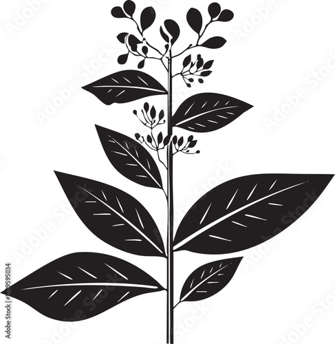 stark black silhouette of a plant with multiple leaves and small berries.