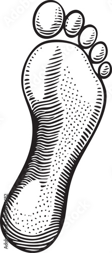 detailed black and white outline of a human foot.