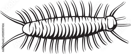 segmented invertebrate crawls along a dark surface.