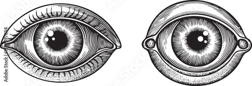 Two detailed eyes are rendered in intricate black and white .