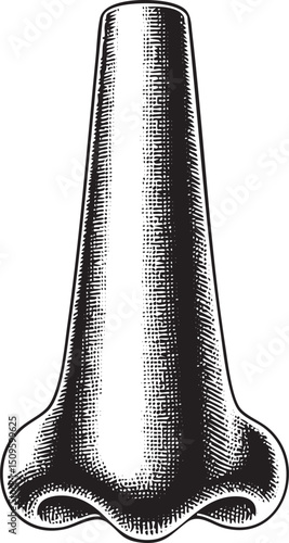 detailed black and white of a human nose.