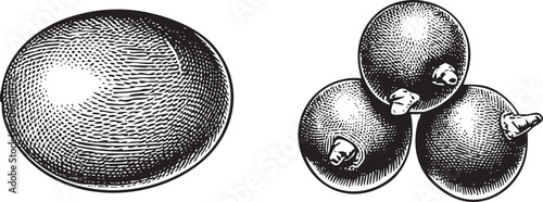 Three dark berries rest on a white surface beside a single illuminated sphere.