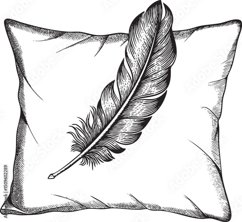 black feather rests delicately on a square gray cushion.