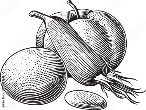 plump plum and a vibrant orange rest beside a delicate onion.