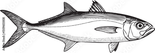 solitary fish swims gracefully through a dark watery environment.