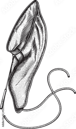 detailed black and white of a delicate slipper.