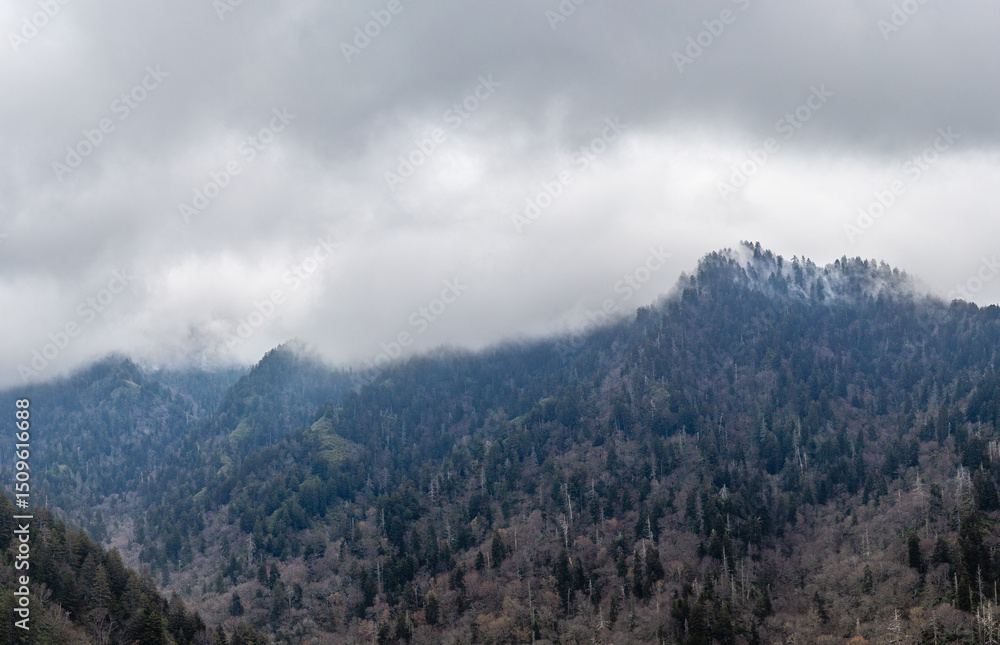 Misty Mountain Landscape Misty Mountain Landscape