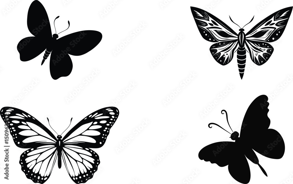 Fototapeta premium Diverse Black and White Butterfly Silhouettes and Illustrations set.