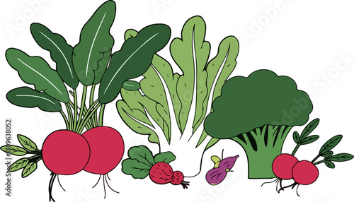 Assorted Vegetables Illustration