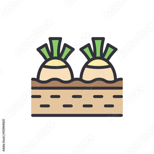 Fresh Turnips Growing In Fertile Soil With Green Shoots Vector