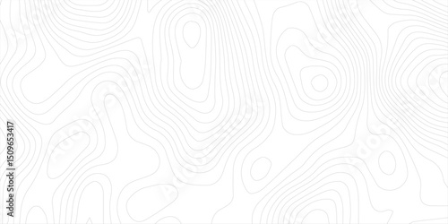 White wave paper curved reliefs abstract background, geographic contour map, Abstract topographic contours map background, Topography map background. Vector illustration. 
