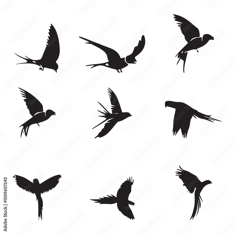 Obraz premium group parrot vector image